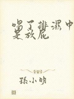 喝了排湿中药老是放屁