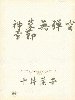 神墓无弹窗最新章节