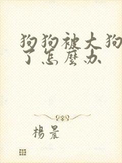 狗狗被大狗咬伤了怎么办