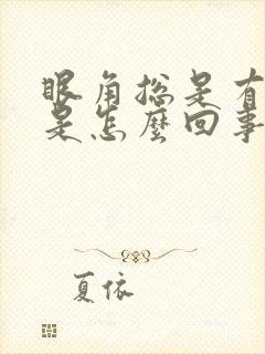 眼角总是有眼屎是怎么回事