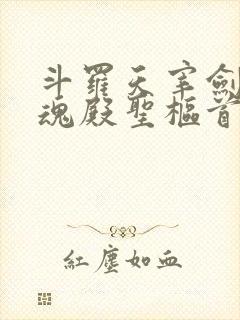 斗罗天宰剑仙武魂殿圣枢首席小说