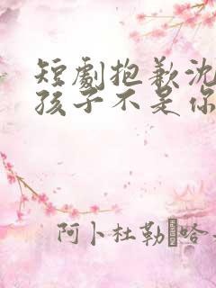 短剧抱歉沈先生孩子不是你的完整版