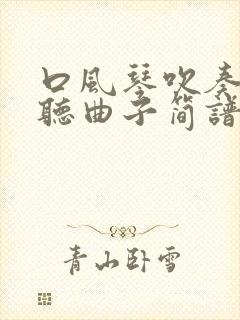 口风琴吹奏最好听曲子简谱