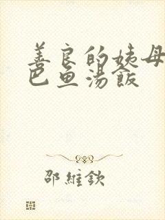 善良的姨母字巴巴鱼汤饭