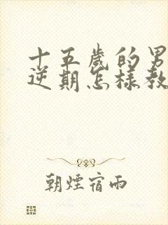 十五岁的男孩叛逆期怎样教育