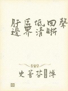 肝区低回声结节边界清晰