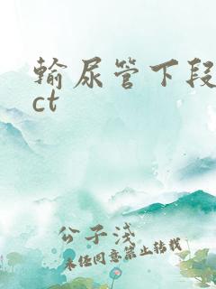 输尿管下段结石ct