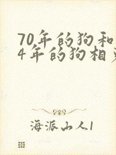 70年的狗和94年的狗相克吗