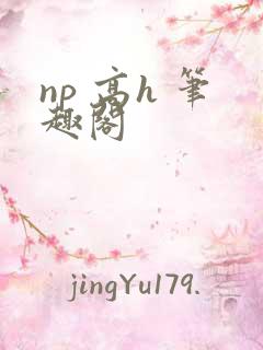 np 高h 笔趣阁