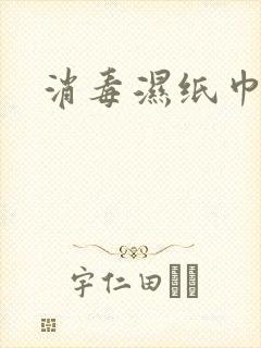 消毒湿纸巾定制