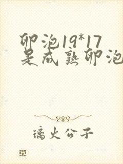 卵泡19*17是成熟卵泡吗