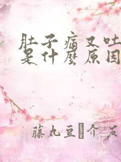 肚子痛又吐又拉是什么原因