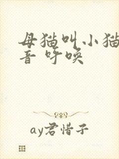 母猫叫小猫的声音 呼唤