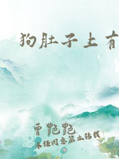 狗肚子上有硬块