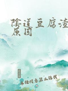 阴道豆腐渣白带原因