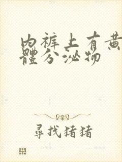 内裤上有黄色液体分泌物