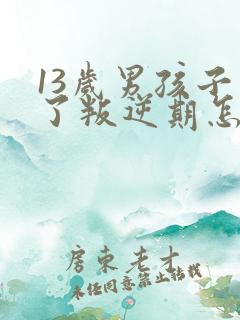 13岁男孩子到了叛逆期怎么教