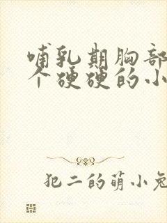 哺乳期胸部有一个硬硬的小疙瘩