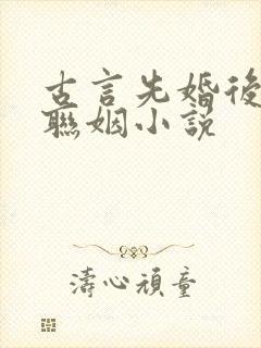 古言先婚后爱的联姻小说