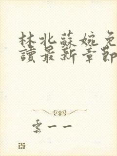 林北苏婉免费阅读最新章节冫