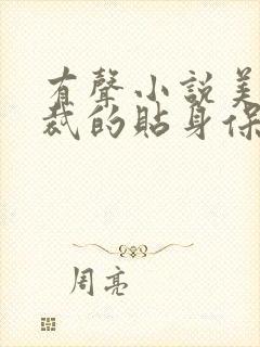 有声小说美女总裁的贴身保镖