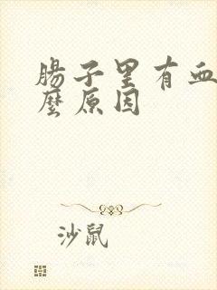 肠子里有血是什么原因