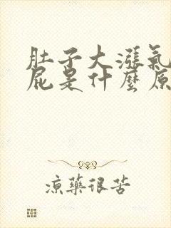 肚子大涨气老放屁是什么原因