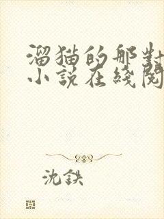 溜猫的那对夫妇小说在线阅读