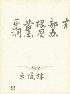 牙齿根部有个小洞怎么办