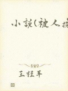 小说(被人操)