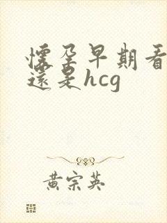 怀孕早期看孕酮还是hcg