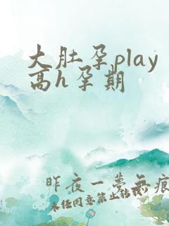 大肚孕play高h孕期