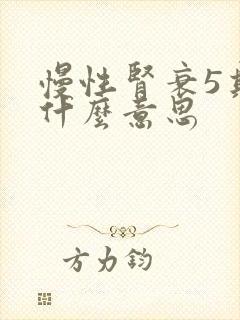 慢性肾衰5期是什么意思