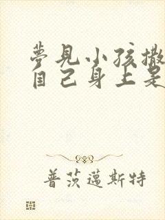 梦见小孩撒尿在自己身上是什么意思