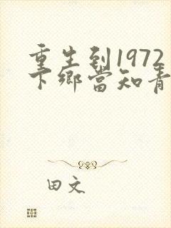 重生到1972下乡当知青的小说