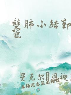 双肺小结节钙化灶