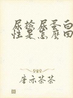 尿检尿蛋白弱阳性是怎么回事