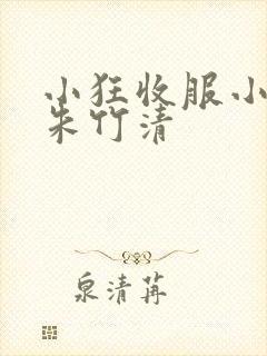 小狂收服小舞,朱竹清