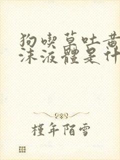 狗吃草吐黄色泡沫液体是什么原因