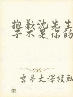 抱歉沈先生,孩子不是你的全集免费