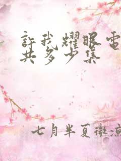 许我耀眼电视剧共多少集