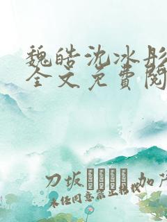 魏皓沈冰彤小说全文免费阅读