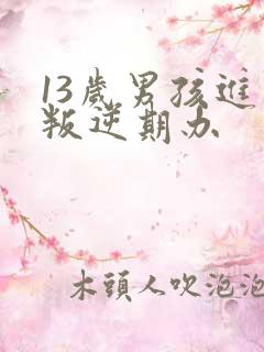 13岁男孩进入叛逆期办