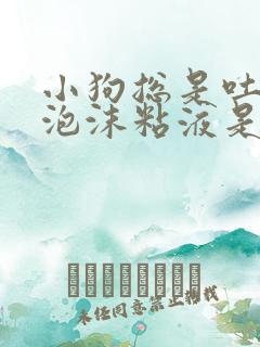 小狗总是吐白色泡沫粘液是怎么回事