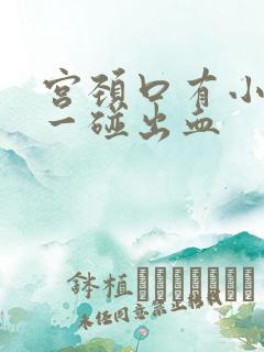 宫颈口有小疙瘩一碰出血