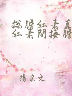 总胆红素直接胆红素间接胆红素升高的原因