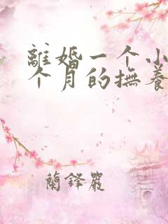 离婚一个小孩一个月的抚养费多少钱