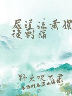 尿道流黄脓小便后刺痛