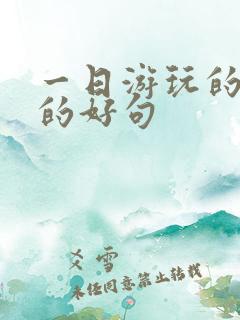 一日游玩的开心的好句