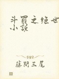 斗罗之绝世冰神小说